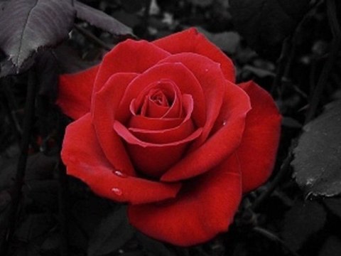 블랙잭사이트 ♥_L­G­3­6­9­.­N­E­T_♥ 온라인카지노 ⊆≪▤ 우리바카라 이현