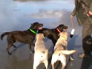 Hermione et les kékés à Douarnenez