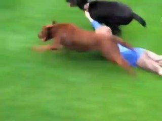 trop cool - Minutebuzz M