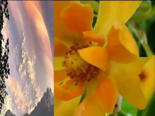 Talat Mahmood- Jetha Ramdhanu Othe Hese