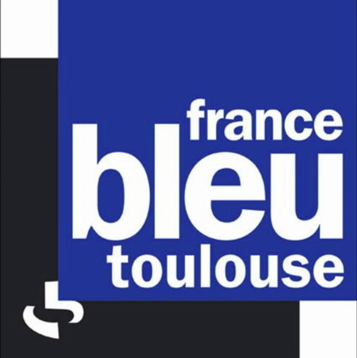 Journal de 8h 19 novembre 2012 - France Bleu Toulouse - Elections internes
