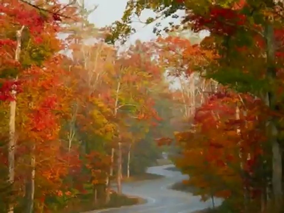 Paul McCartney - The Long and Winding road (Cover By Michael Rietveld ) Cam Version.wmv