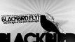 Paul McCartney - Blackbird ( Cover Michael Rietveld ) Cam Version