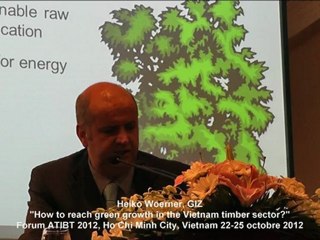 Heiko Woerner, GIZ, "How to reach green growth in the Vietnam timber sector", Forum ATIBT 2012