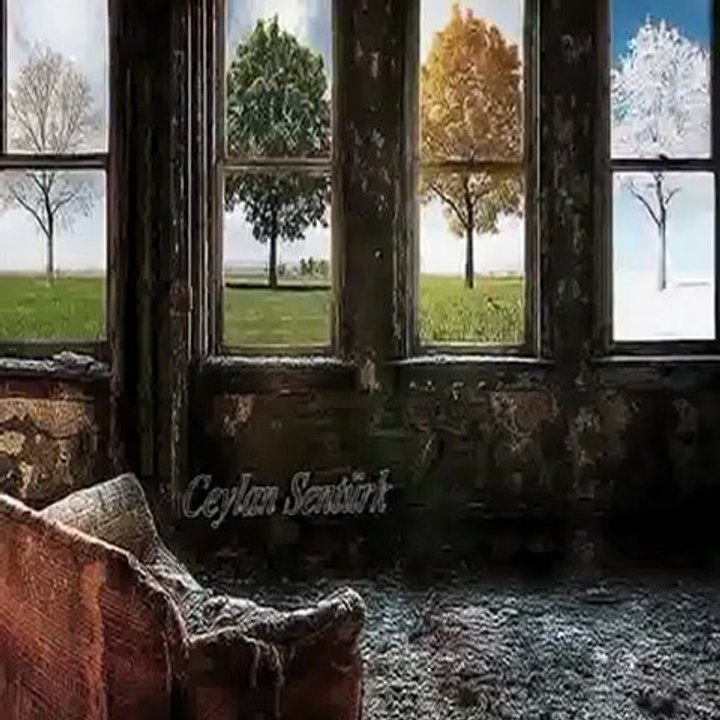 SADECE SEVDİM ( ŞİİR )