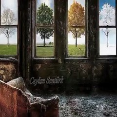 SADECE SEVDİM ( ŞİİR )