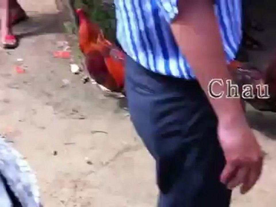 Clip 7