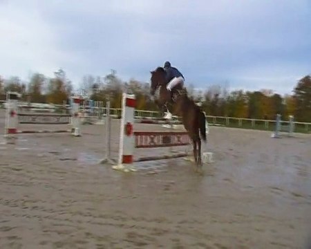 pot d'amour 130 doue la fontaine novembre 2012 1er place