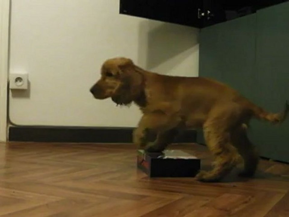 Help me 4mois Shaping