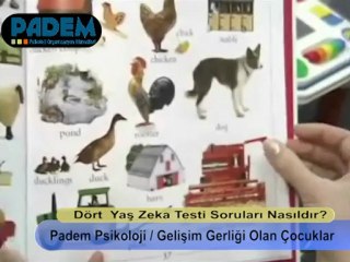 Dört Yaş Çocuğunun Özellikleri Nelerdir?