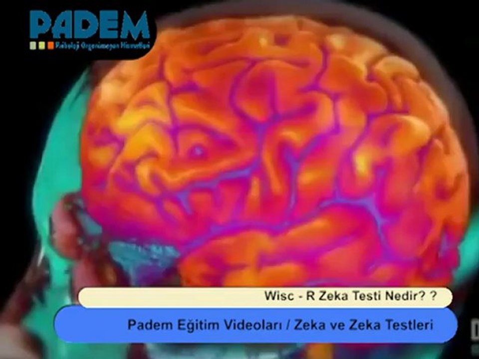Wisc-r Zeka Testi Nedir? / Wisc-r  Zeka Testi Soruları Nasıldır?