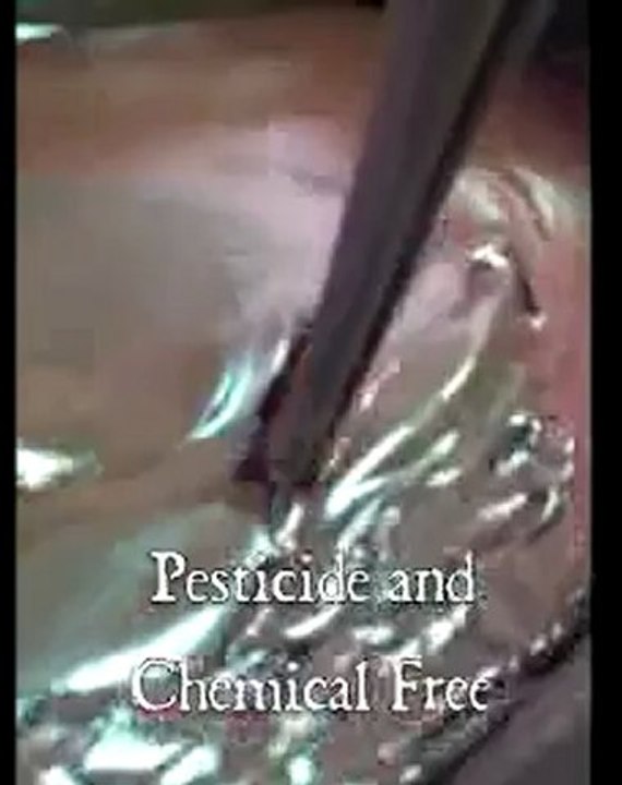 Delicious Chocolate: Watch as this Delicious Chocolate Gets Mixed