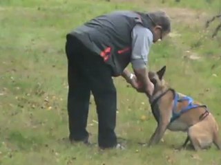 identification objet recherche utilitaire