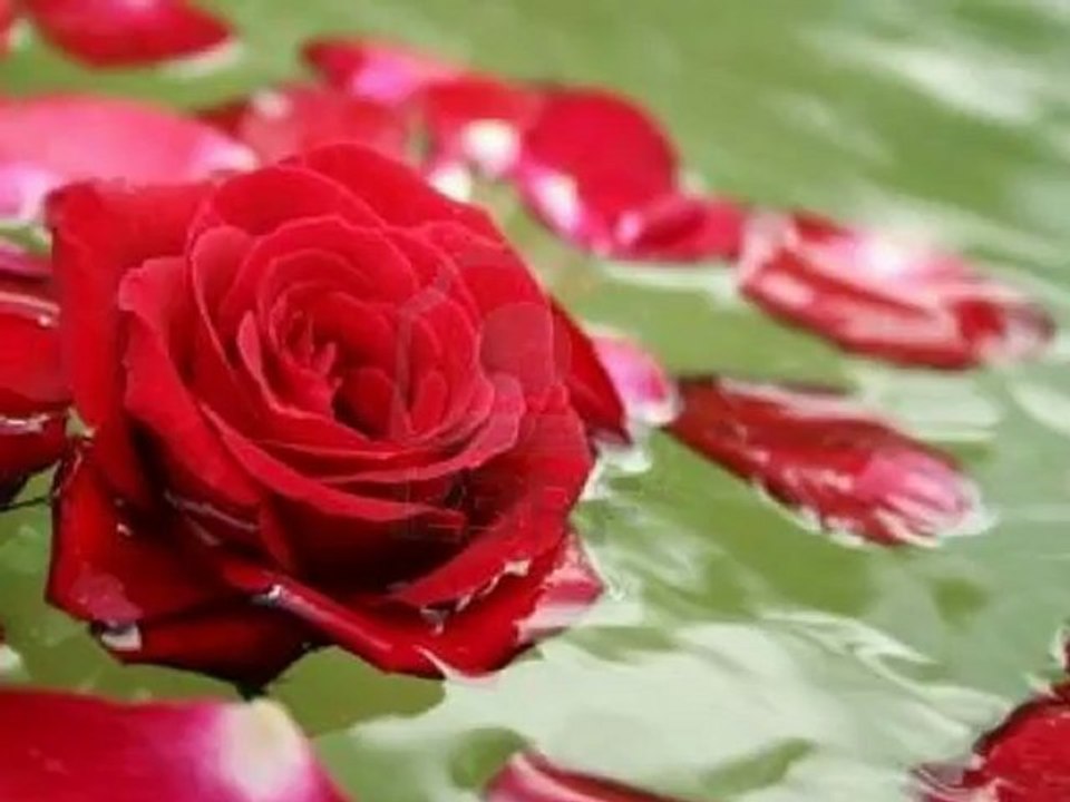 marc lavoine je compte les jours