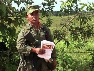 Farc decretam cessar-fogo