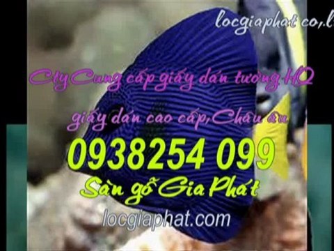 Mẫu giấy dán tường đẹp và rẻ năm 2013 tại HCM – 0936 890 585