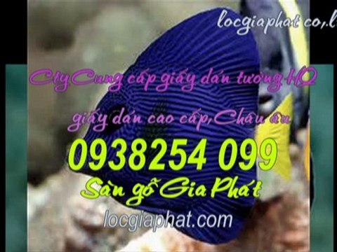 Mẫu giấy dán tường đẹp và rẻ năm 2013 tại HCM – 0936 890 585