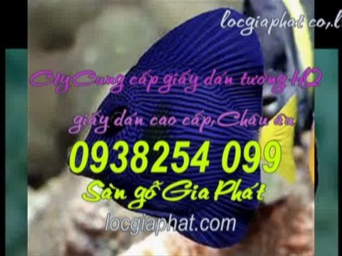 Thiết kế mẫu giấy dán tường cho chung cư call 0936 890 585