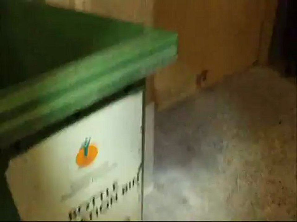 Recycling Room Apparently Ransacked by Binner at Steveston condominiums again