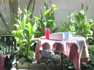 Anniversaire Léa 14 aout 2012