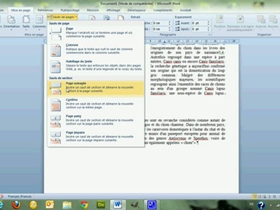 Saut de section et de page - Word