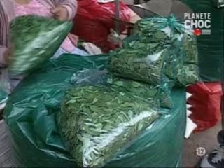 Guerre Des Stups partie2