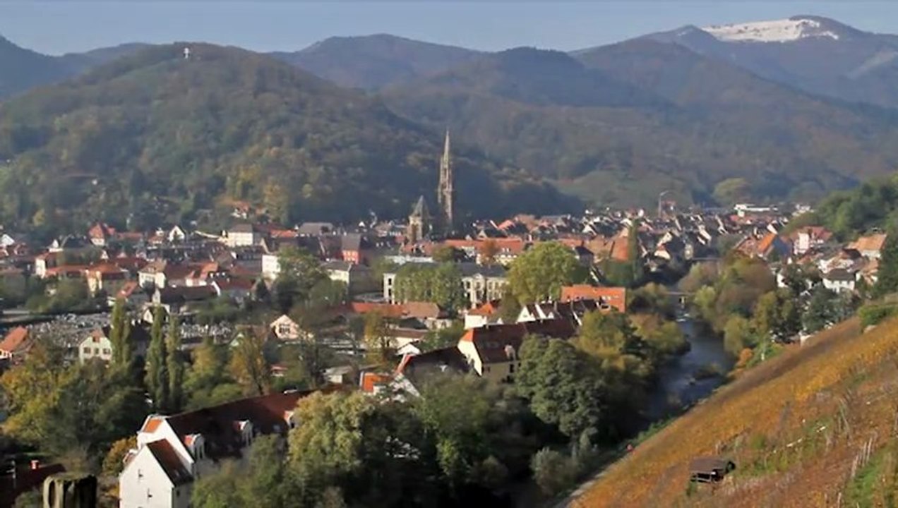 Présentation de Thann