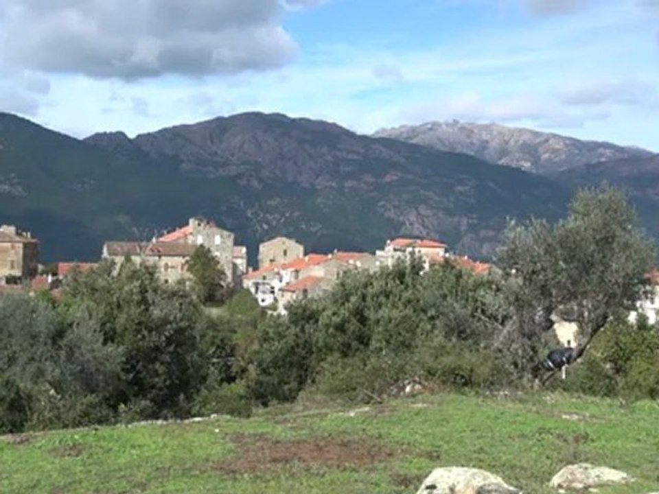 Le milan au dessus du couvent