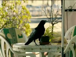 FIN - Segundo Tráiler Español HD  [1080p]