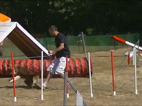 Agility Alcia Concours CCPM 09 Sept 2012