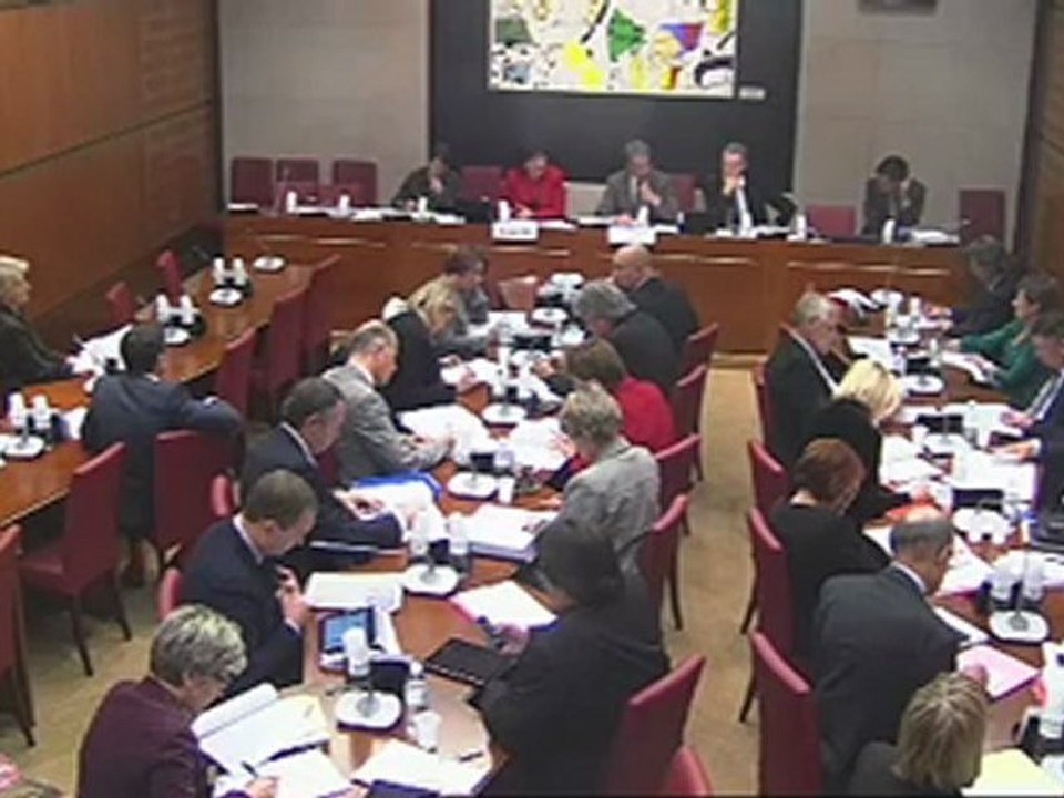 121106intervention en commission sur le budget de l'action extérieure de la France