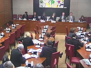 121114audition par la commission de la présidente d'arte véronique cayla