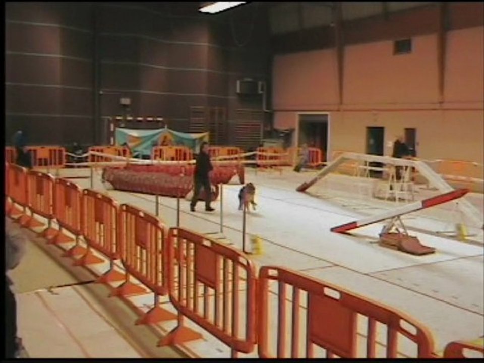 Agility Eldo Concours CCMP 11 Nov 2012