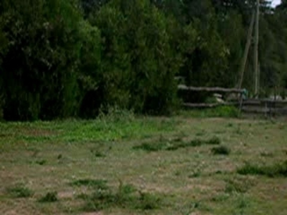 DSCN3301