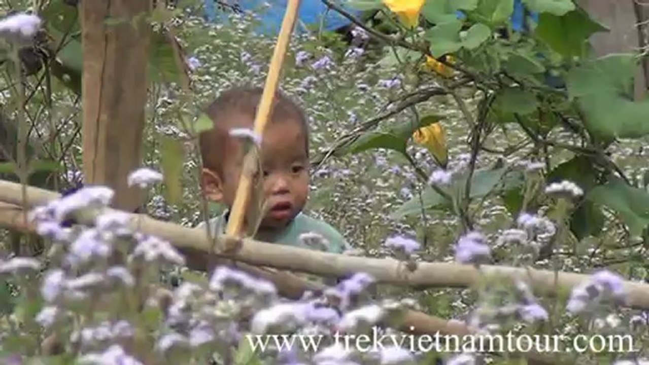 Vietnam travel - Voyage Vietnam - Minh Anh Travel