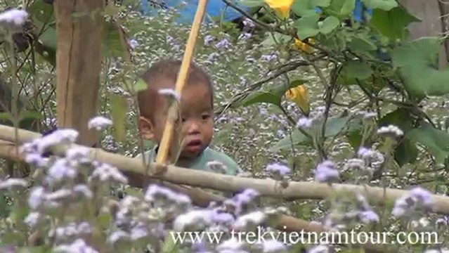 Vietnam travel - Voyage Vietnam - Minh Anh Travel