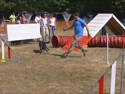 Agility Babouche Concours CCPM 9 Sept 2012