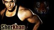 Salman's Sher Khan Postponed Due To Life Of Pi's Bengal Tiger !