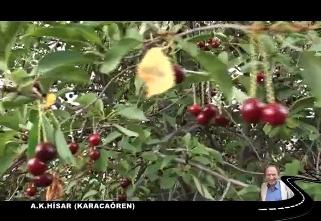 ALİ ADIGÜZEL 'LE ADIM ADIM ( Afyon-Karacaören )