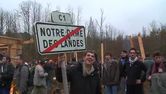 Nous sommes tous des salamandres de feu !