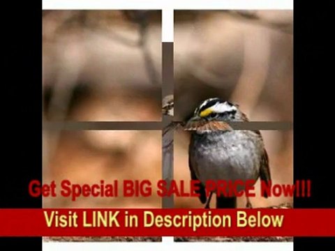 [SPECIAL DISCOUNT] Canon EF 400mm f/5.6L USM Super Telephoto Lens for Canon SLR Cameras