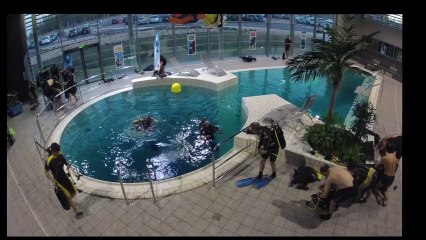 Espace plongée Piscine olympique du Grand Dijon