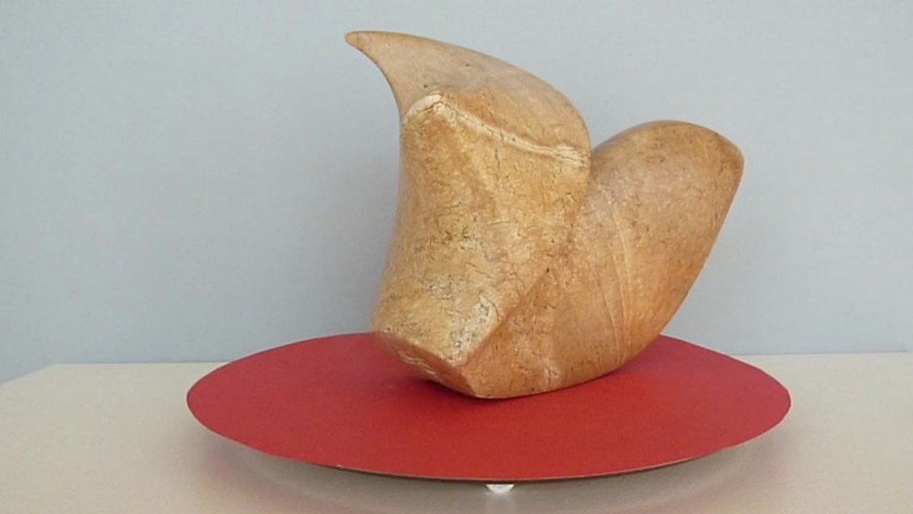 pigeon vole