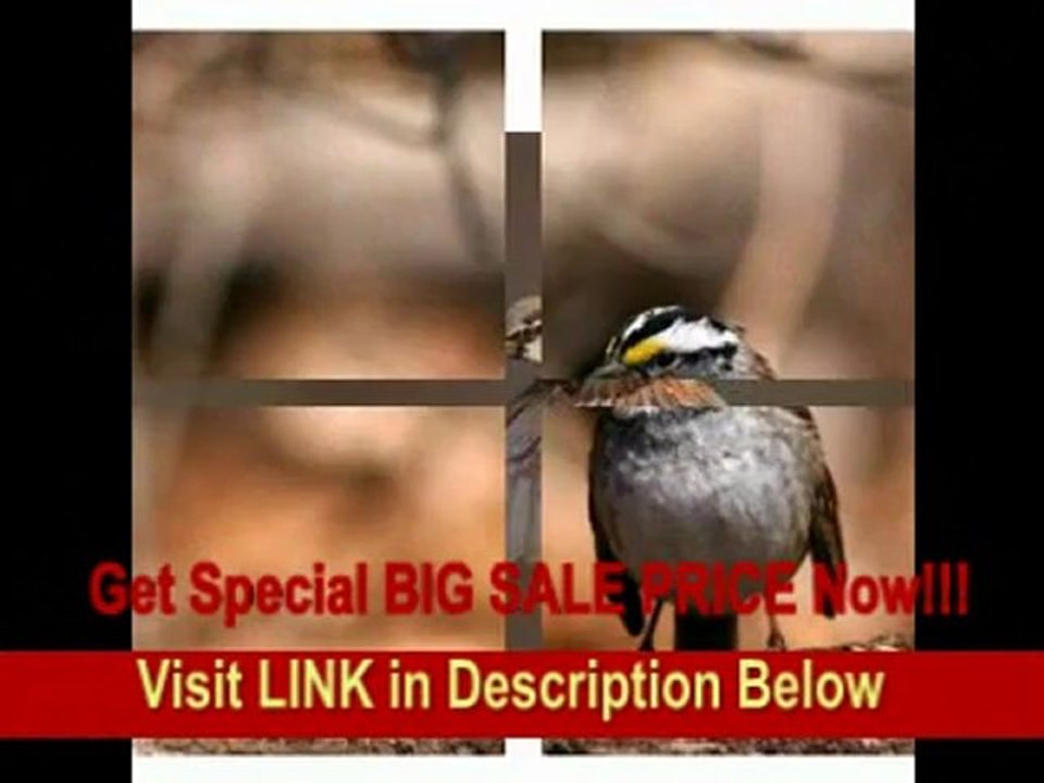 [SPECIAL DISCOUNT] Canon EF 400mm f/5.6L USM Super Telephoto Lens for Canon SLR Cameras