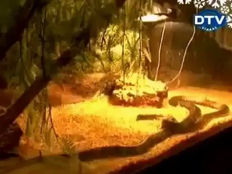 En komik seksi şakalar 2