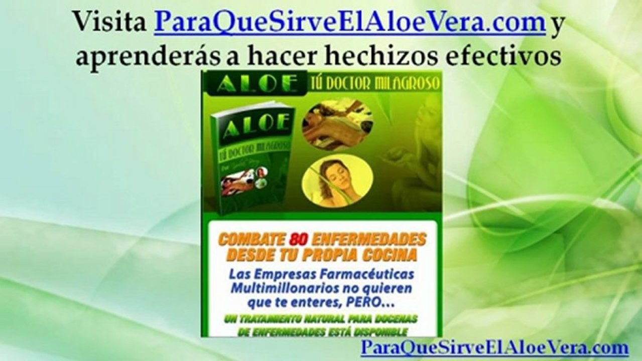 Cuidados del Aloe Vera