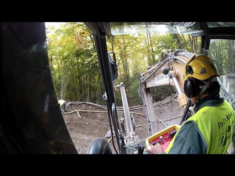 Berlinoise dans les bois...