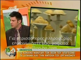 Τι είναι το Γανοδερμα; (Ganoderma Lucidum)