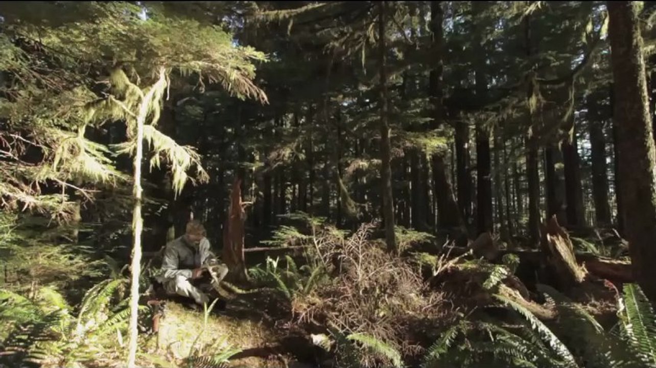 RAPH BRUHWILER INNERSECTION 2012
