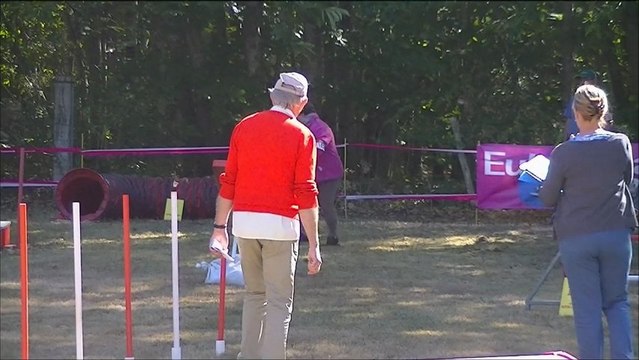 Agility Eldo Concours CCMP 9 Sept 2012